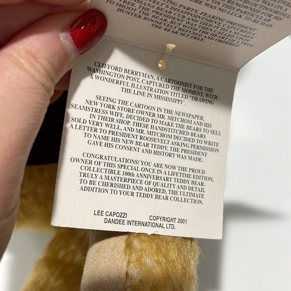 Dandee Collector's Edition 100th Anniversary 1902-2002 Teddy Roosevelt Bear - Picture 7 of 13